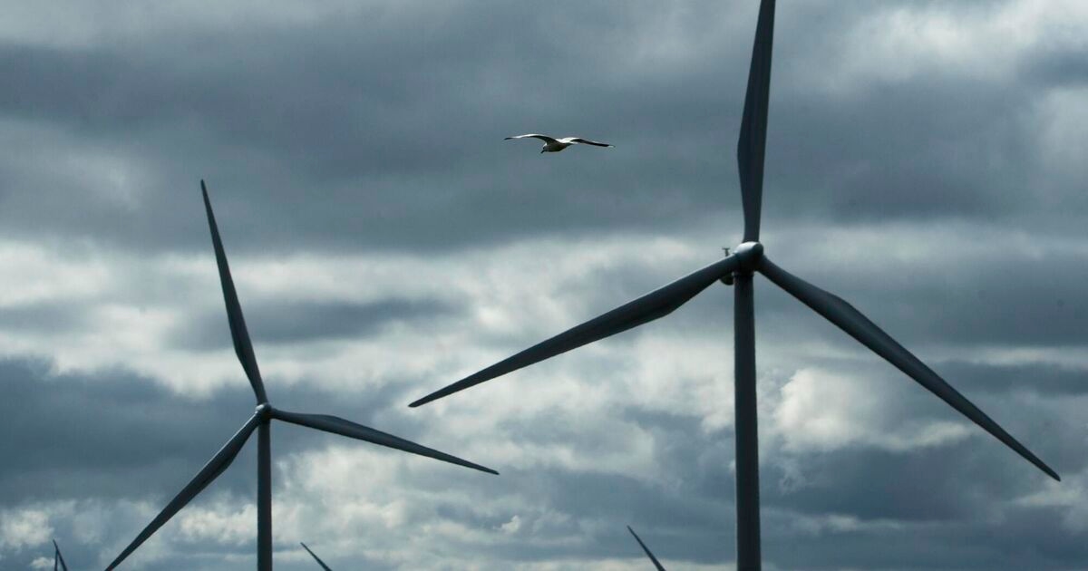 Irish wind farms see record June with share of electricity rising to 30%