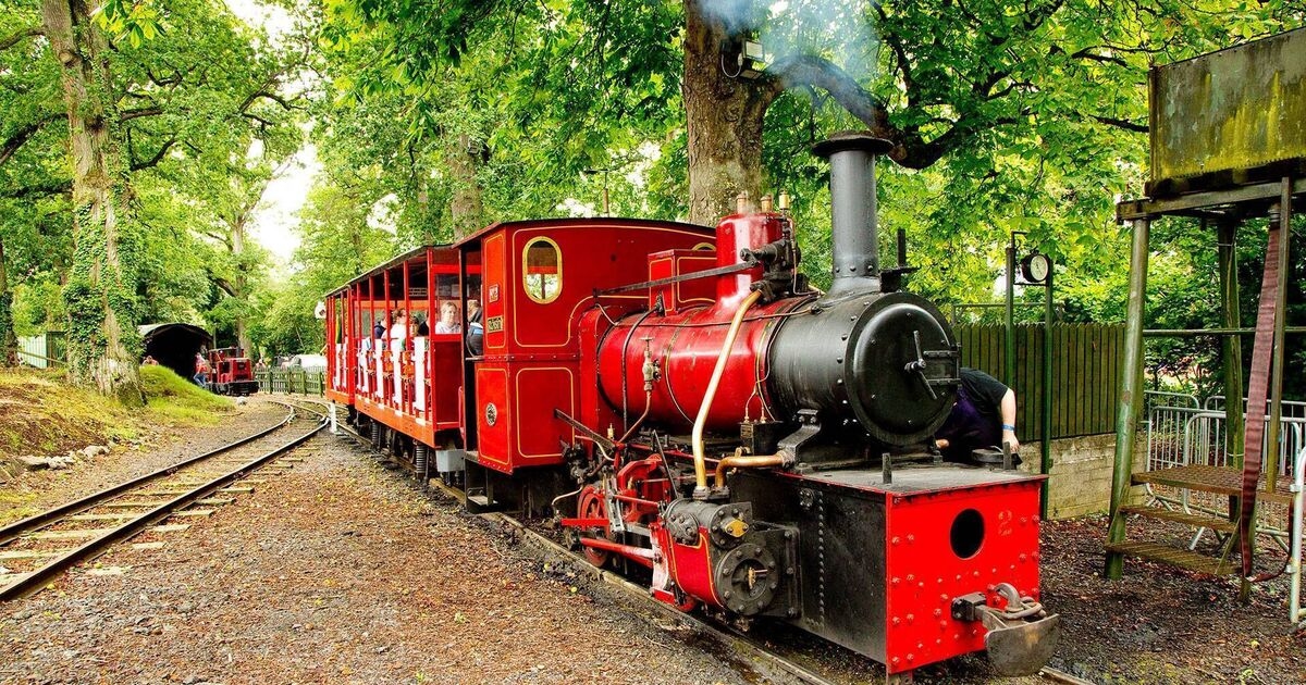All aboard for family fun: The National Steam Rally rolls into Stradbally this August bank holiday weekend