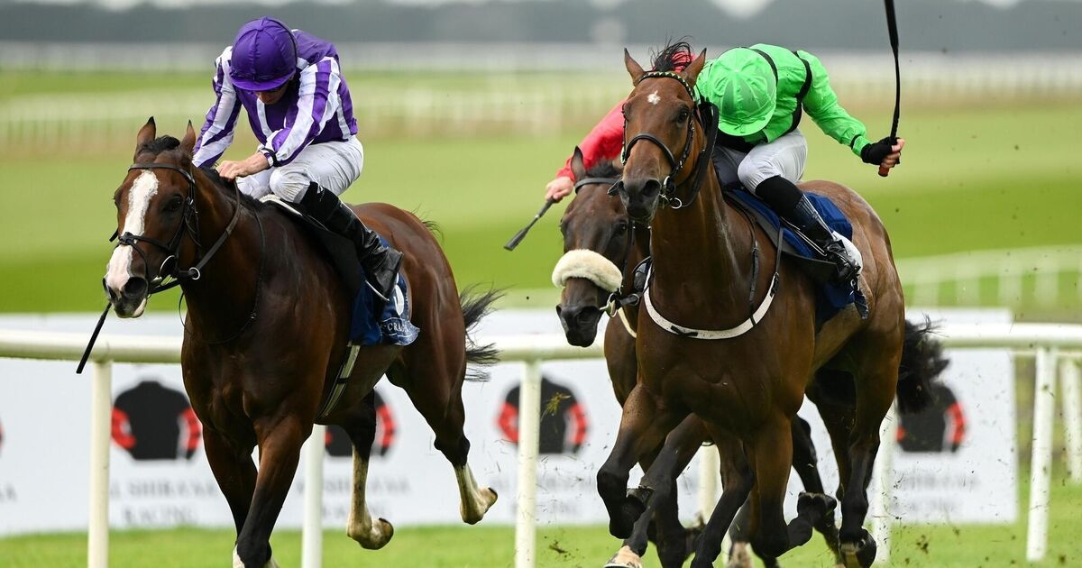 Diego Velazquez highlights O'Brien's impressive Curragh treble