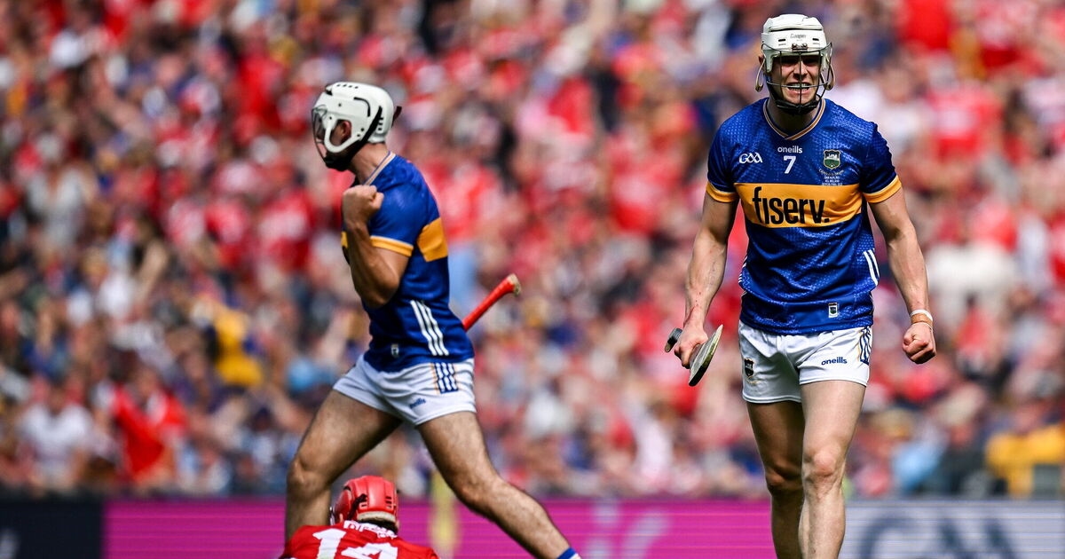 Maurice Brosnan's hurling observations: The sweeper won't become fashionable. But it will rear its head again