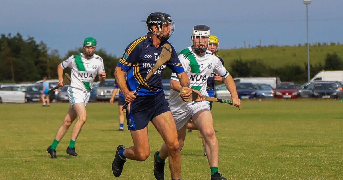 Clare legend Tony Griffin back in hurling action in Wicklow