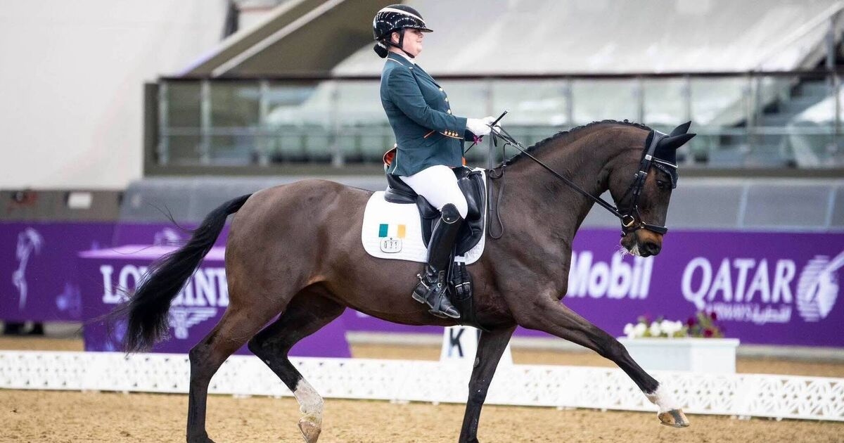 Funding gap forces Ireland's top para riders to fundraise to compete at European Championships