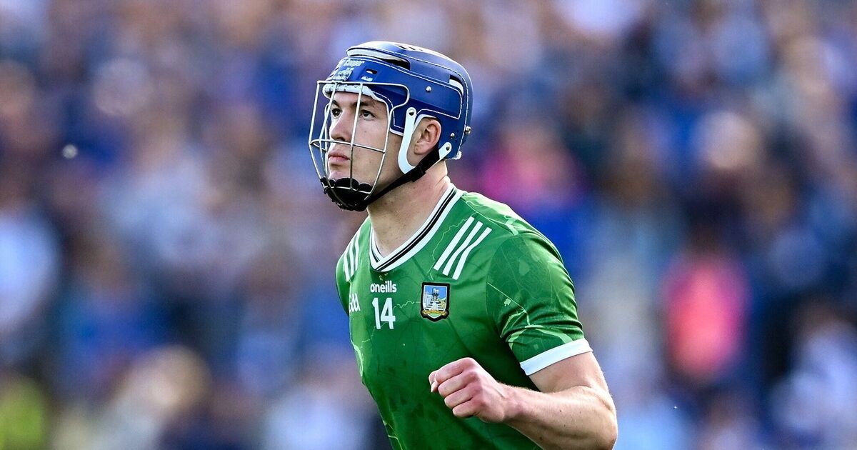 Kilmallock off to winning start as they see off Newcastle West in Limerick SHC