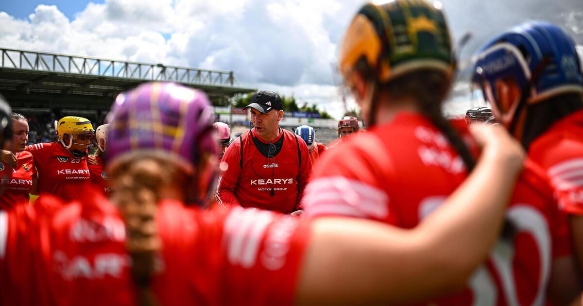 Cork have gone to a new level - but still more to come, says boss Ger Manley