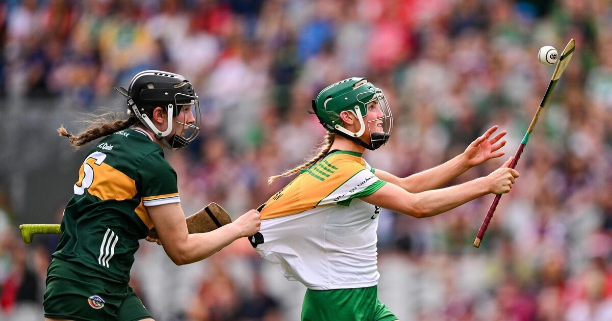 Offaly savour spoils but salute Kerry's part in a 'dogfight' for senior status