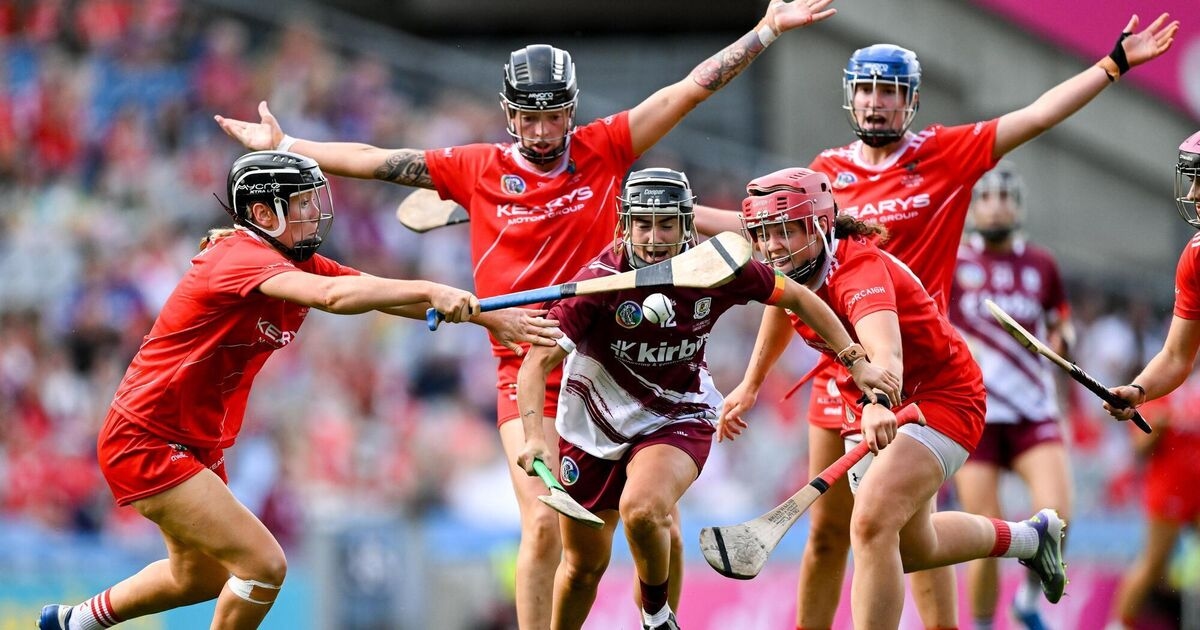 An outstanding camogie rivalry again delivered. Someday the sport's association might seek to harness it