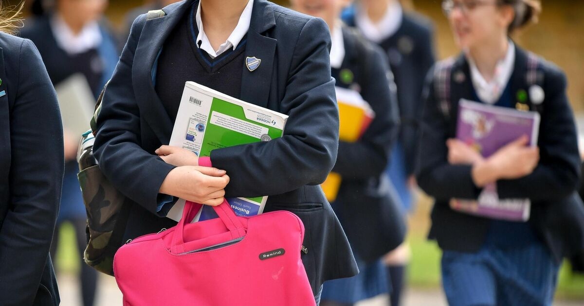 'Little evidence' of improved exam performance or retention rates in first ten years of Deis