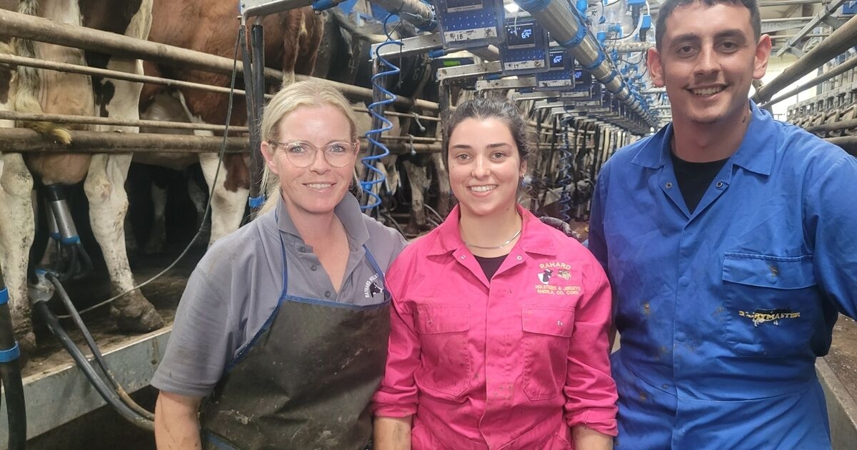 Paula Hynes: I'm on an Azores high amid this busy show season
