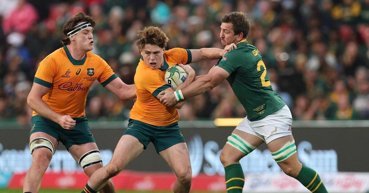 Wallabies break South Africa's aura of invincibility in win that asks: is Australian rugby back?