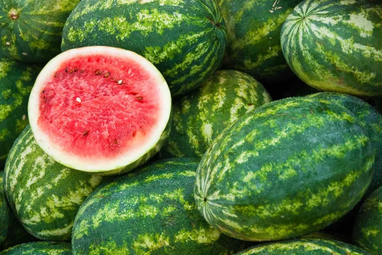 الاردن .. مزارعون يوقفون التوريد للسوق المركزي احتجاجا على استيراد البطيخ والكلمنتينا