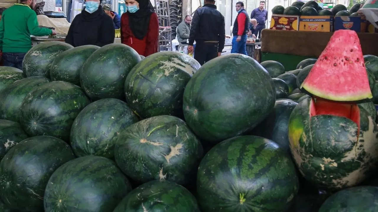 استيراد البطيخ يثير استياء المزارعين في الأردن