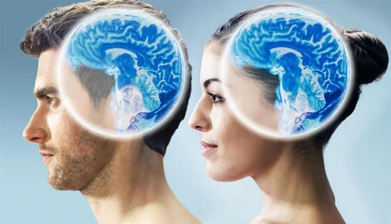 دماغ المرأة مقابل دماغ الرجل.. 6 فروقات مذهلة تتحكم في حياتنا