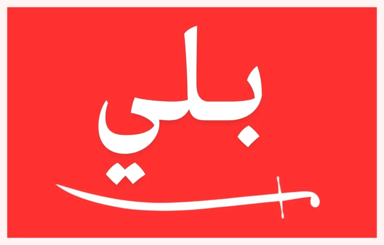 بيان صادر عن قبيله بلي ( البلاونه)