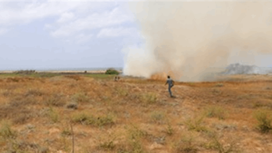 Blaze erupts for second day at Tyre Coast Nature Reserve, prompting swift firefighting response