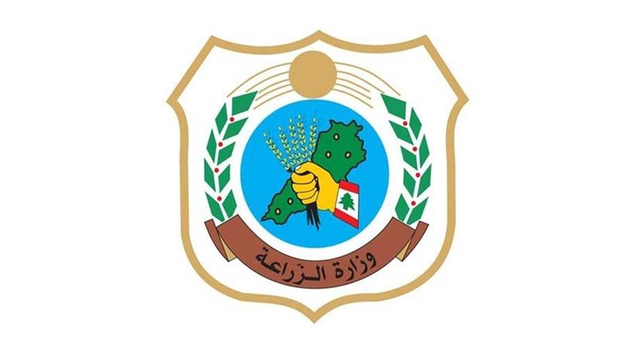 وزارة الزراعة في 100 يوم: إصلاح شامل يعيد الزراعة إلى الواجهة الوطنية
