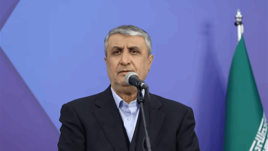 Iran is looking to restore its nuclear industry: Iran's nuclear chief