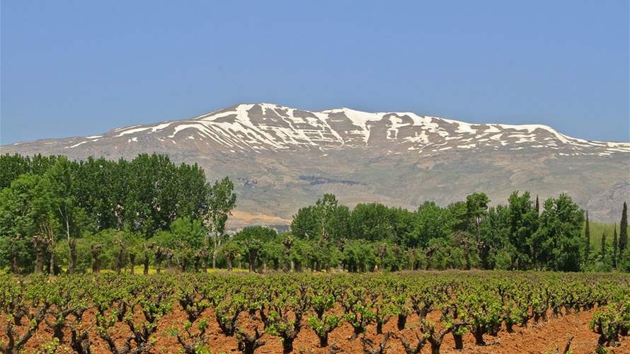 President Aoun hails Zahle's global wine city designation as national win