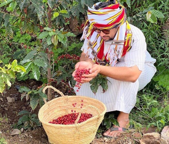 Saudi Coffee Festival in Rijal Almaa Captures Several Visitors