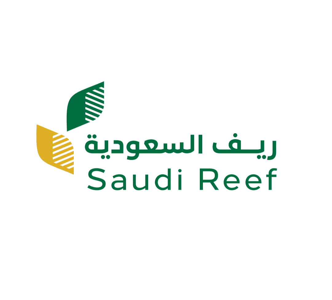 "Countryside Winter": Saudi Reef Unveils Initiative to Spotlight Madinah's Rural Gems