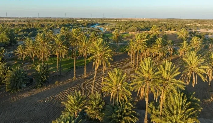 Wadi Al-Arj in Taif: Harmony of Nature, History, Culture