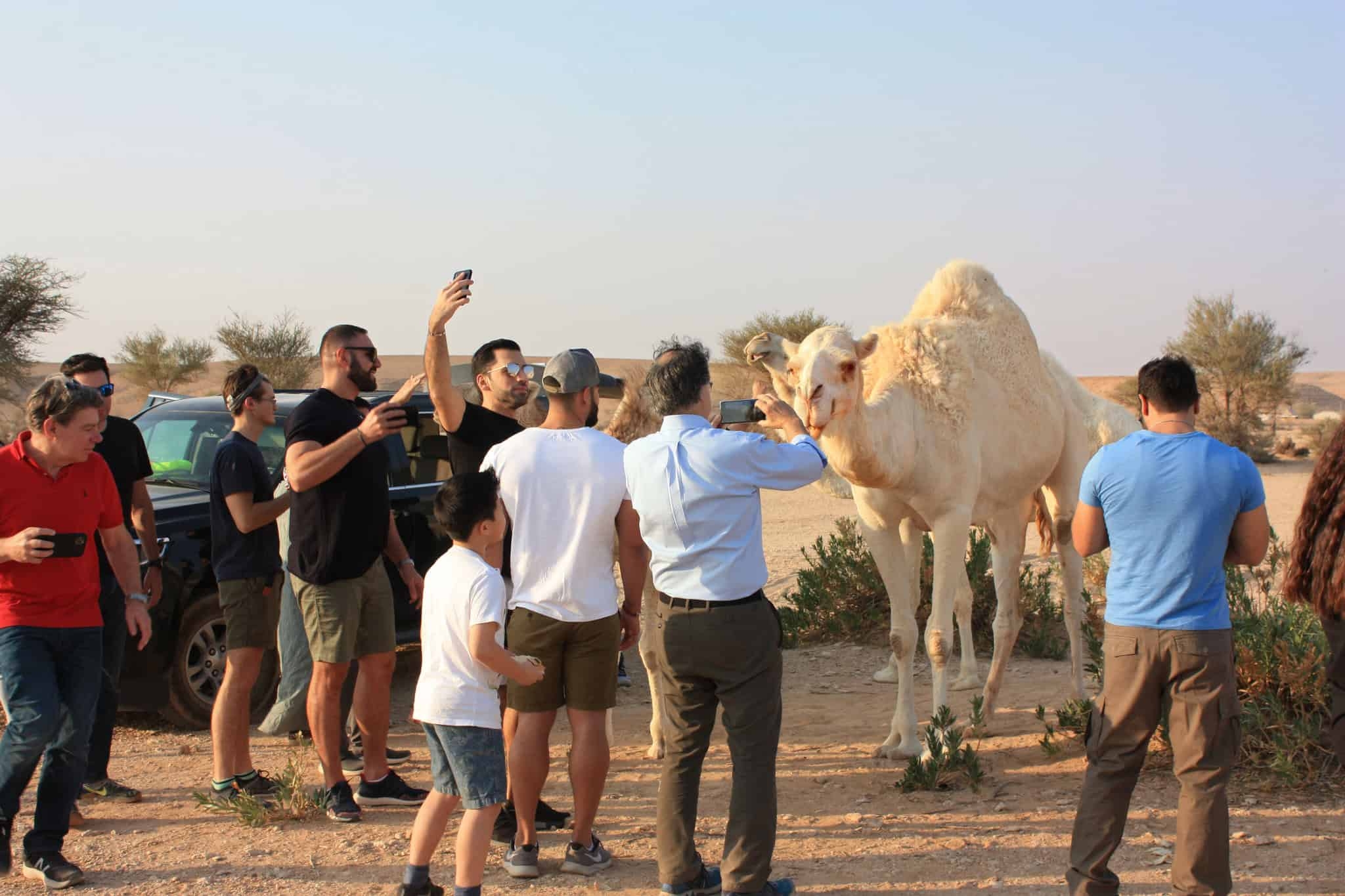 Saudi Arabia: The World's Fastest-Growing Tourist Hotspot Beckons Europeans