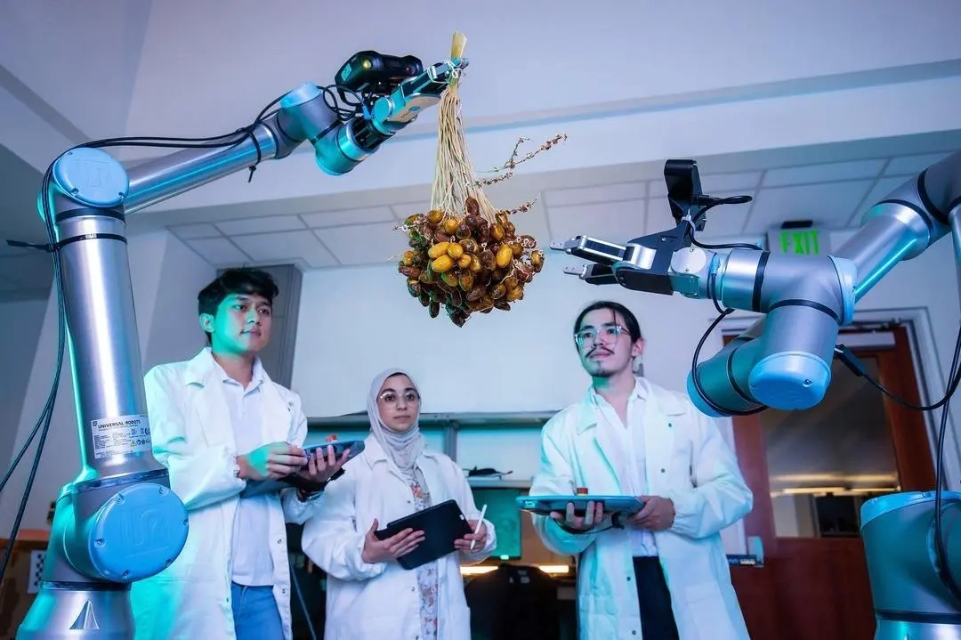 Automating Date Palm Harvesting: KAUST Unveils New Robotic System