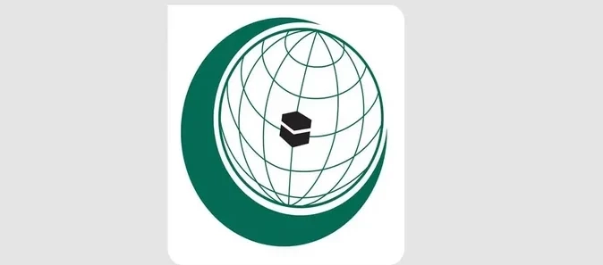 OIC Denounces Israeli Airstrike on Gaza Hospital, Cites Risk of Humanitarian Crisis