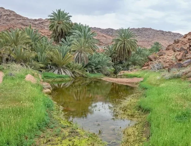 Aja, Salma Mountains: Haven of Natural Diversity for Hikers in Hail