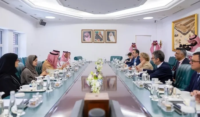 Minister of State for Foreign Affairs Meets Italian Senate Foreign Affairs Chief