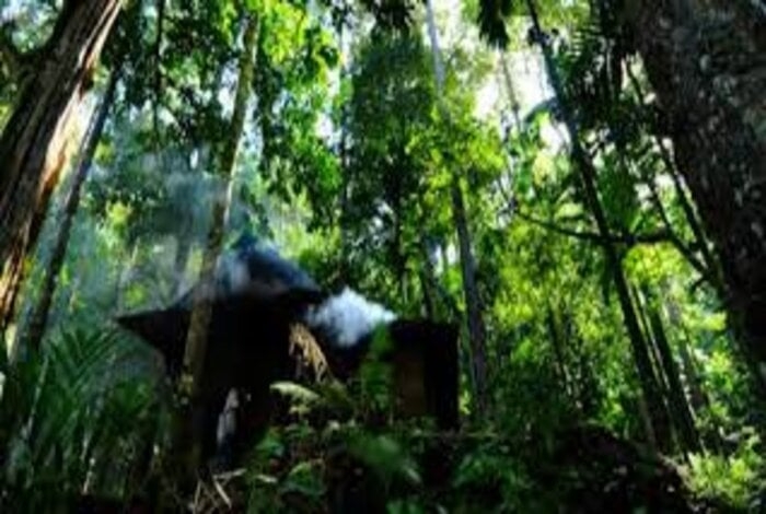 Saudi Arabia Showcases Forest Conservation Efforts at UN Forum