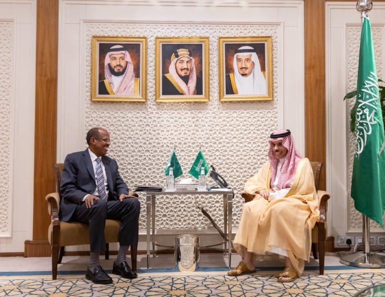 Saudi Foreign Minister Receives AUC Chairperson in Riyadh