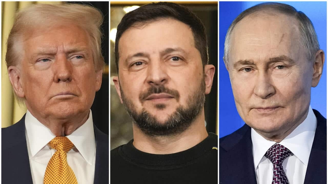 Moscow Dismisses Imminent Putin-Zelensky-Trump Summit