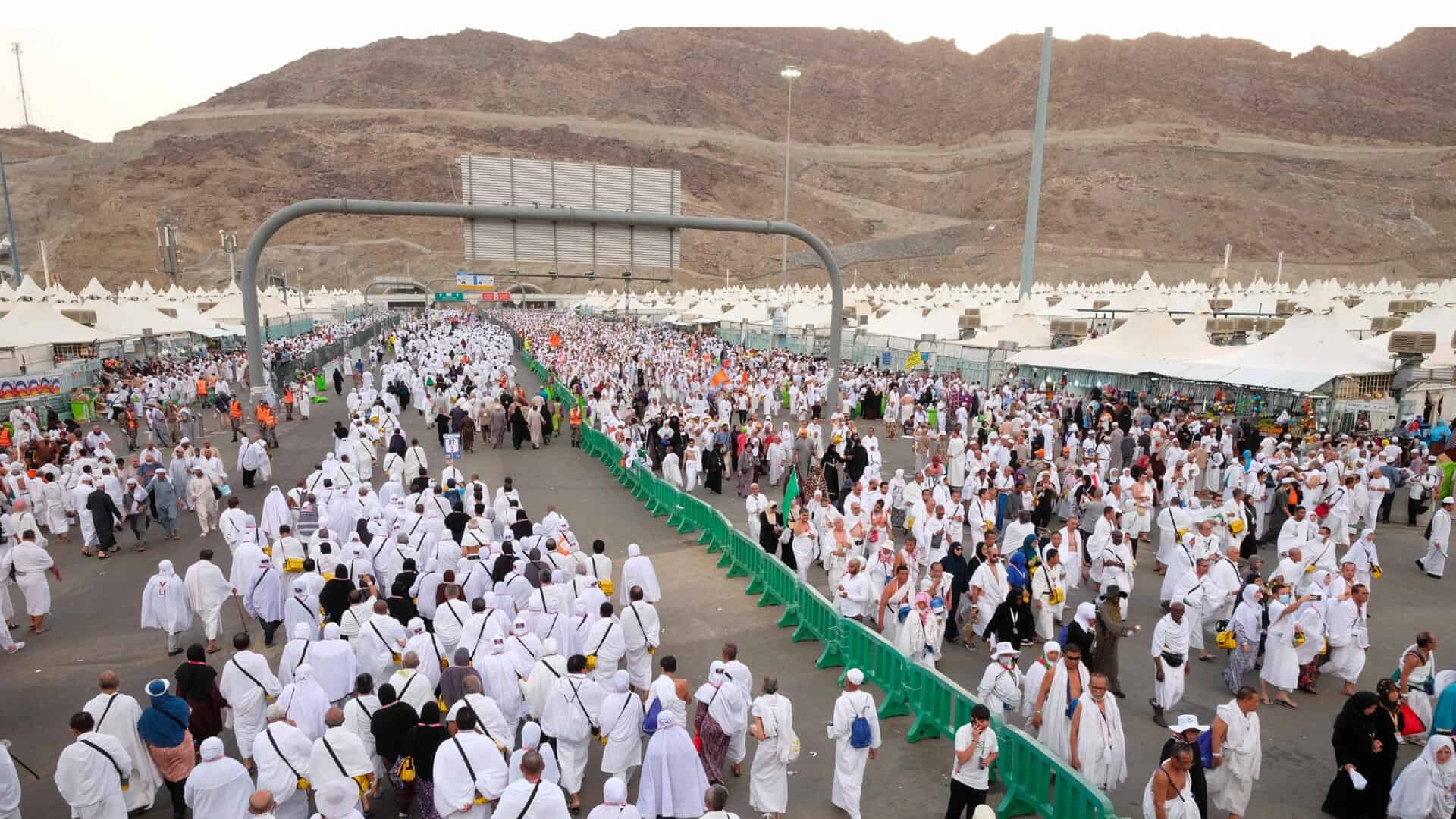 Prominent Figures Join Millions of Pilgrims on Arafat During Hajj 2025