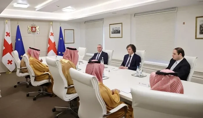 Georgian Prime Minister Meets CEO of Saudi Fund for Development