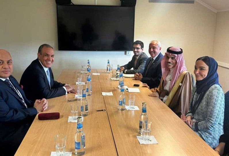 Saudi, Egyptian FMs Discuss Developments in Gaza