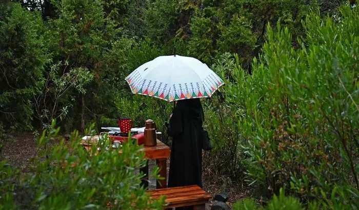 Gemini Rains Enchant Aseer as Fog Embraces Highlands