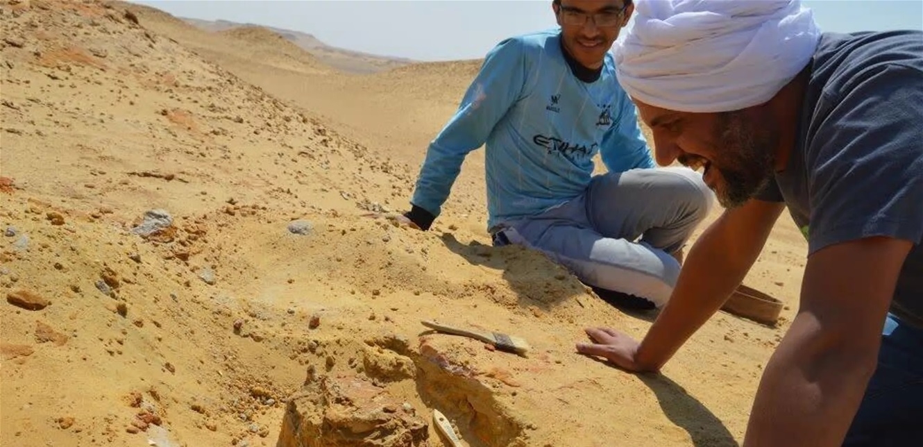 اكتشاف حيوان مفترس لم يسبق له مثيل في مصر
