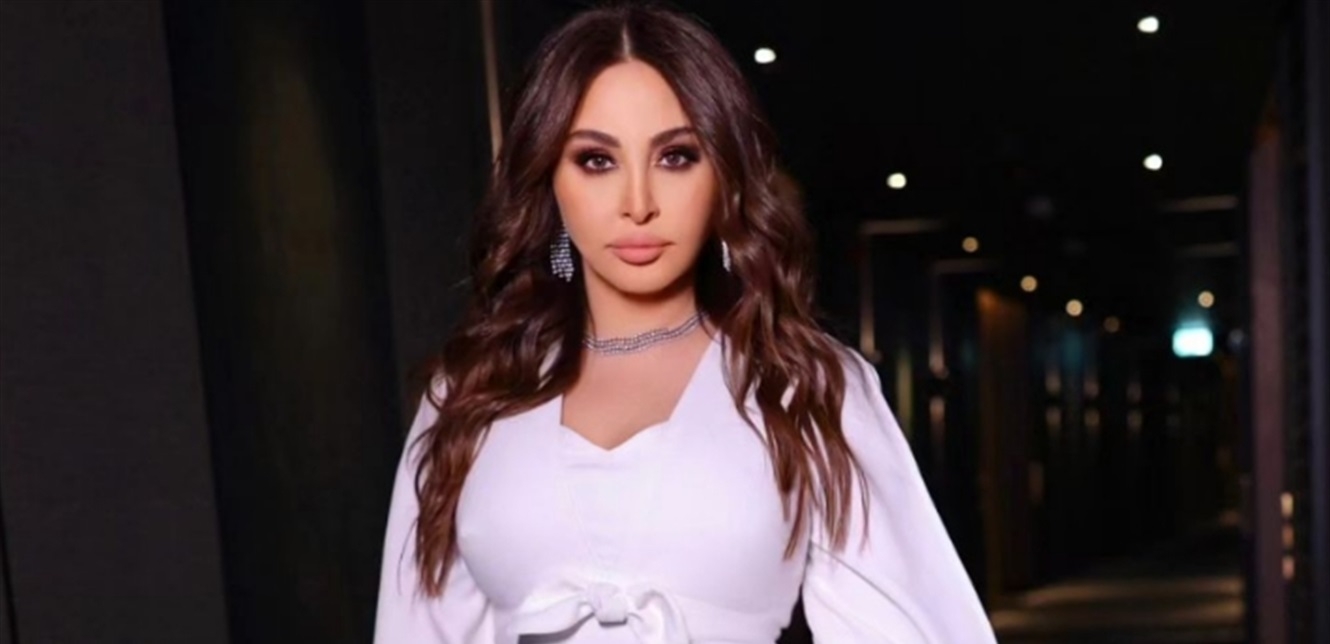 في نيويورك.. لقاء بين إليسا وآموس هوكشتاين (صورة)
