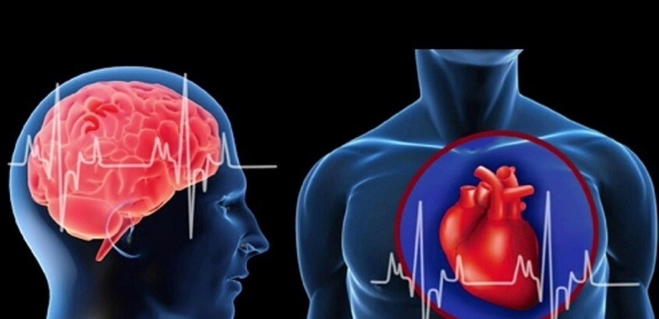 اكتشاف علاقة بين أمراض القلب والتغيرات الدماغية