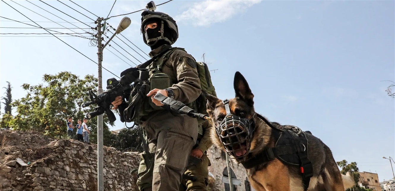 من هذه الدولة.. كلاب مستوردة تستخدمها إسرائيل لتعذيب الفلسطينيين!