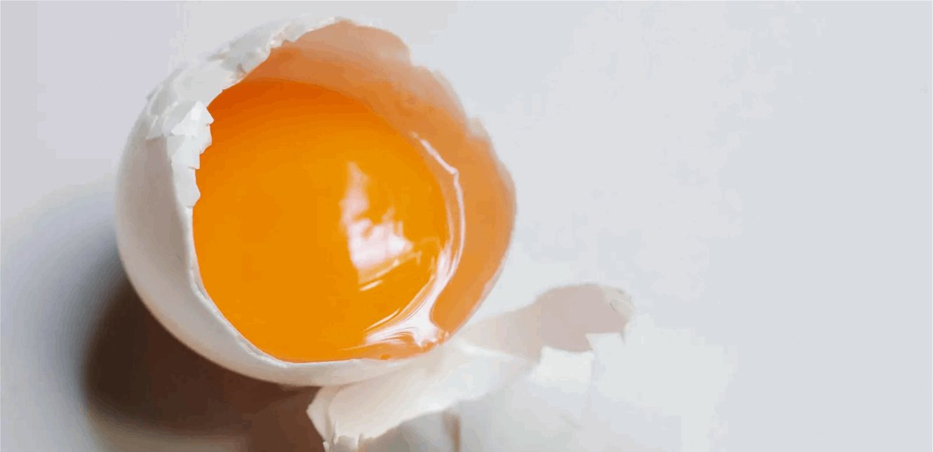 بيضة تودي بإمرأة إلى السجن!