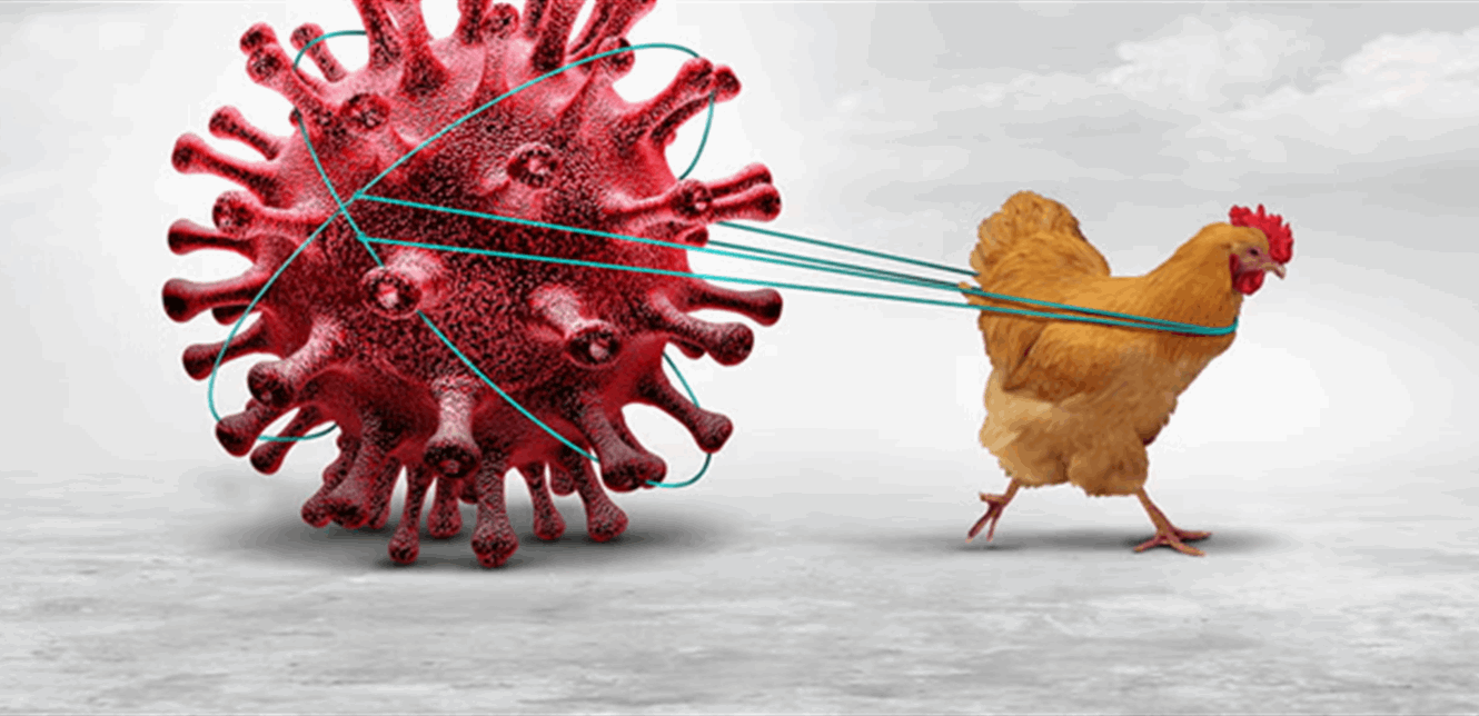 فيروس "H5N1"... العالم أمام وباء جديد "قاتل" هكذا يُمكن إيقافه