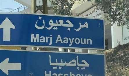 في مرجعيون.. طفل يتعرض للدغة أفعى فلسطين وهذا وضعه الصحي (صورة)