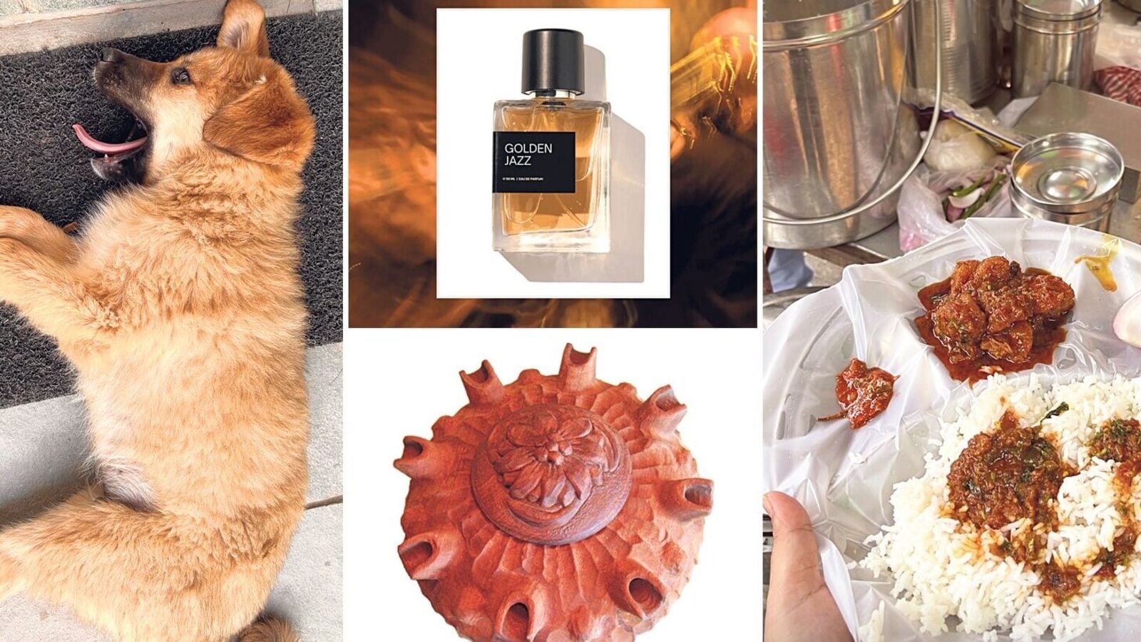 Lounge Loves: ‘Grole', dog names and more