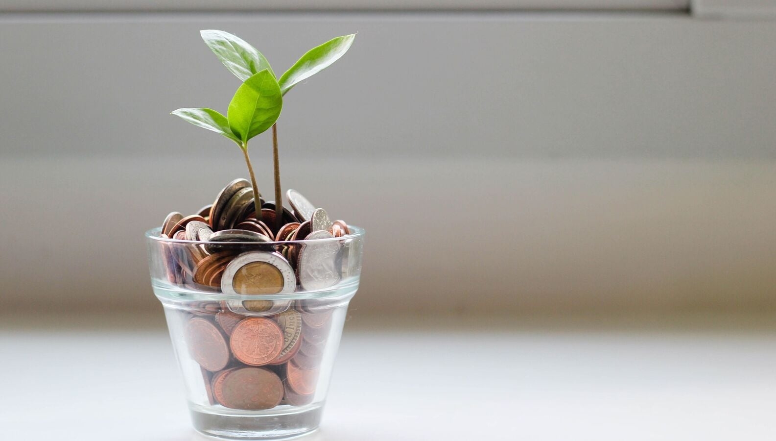 Investment of  ₹1 lakh in 2013 in THIS mutual fund would have grown to around 8 lakh now. Check how