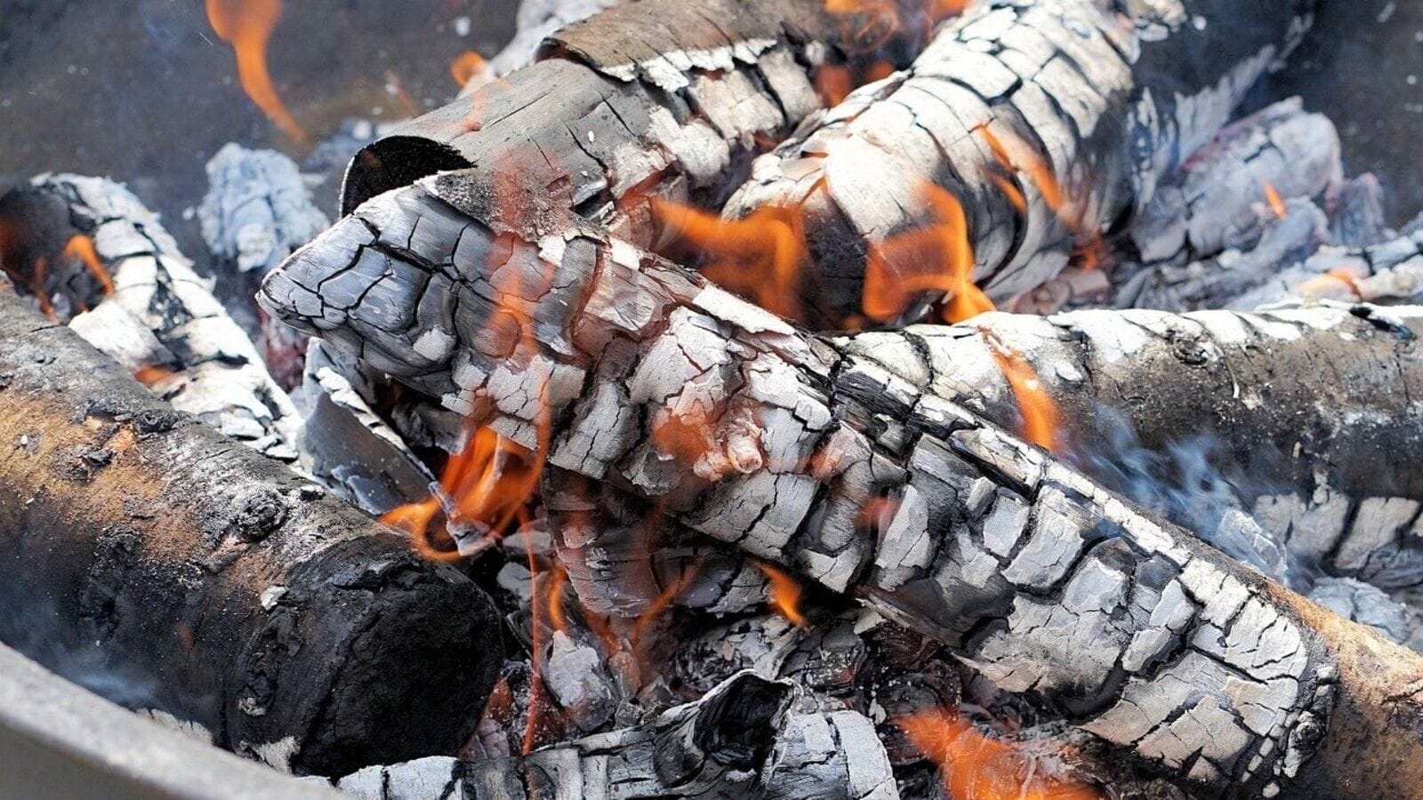Africa's charcoal economy