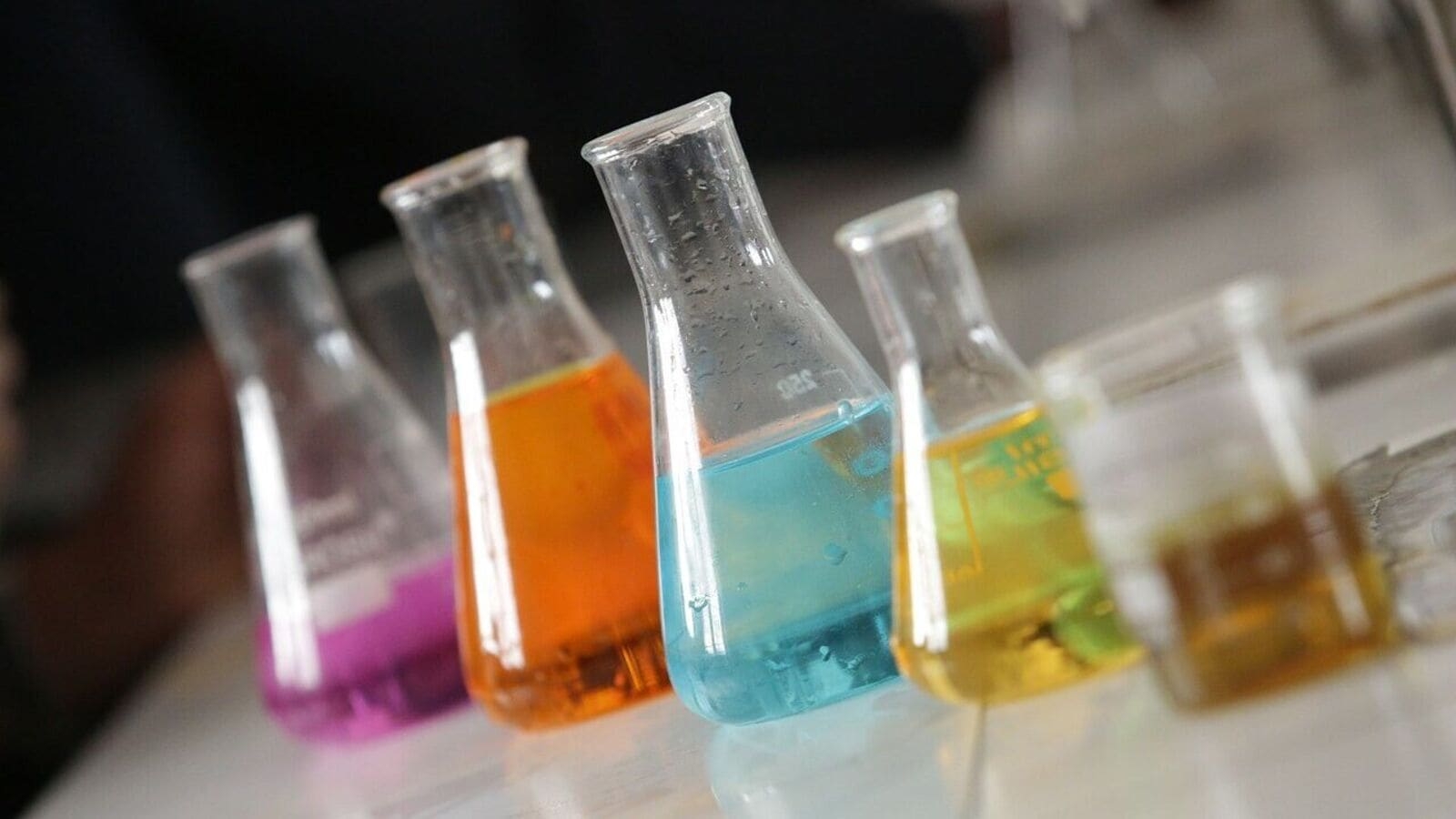 Bain Capital-backed Indian chemicals firm eyes US expansion after key acquisition