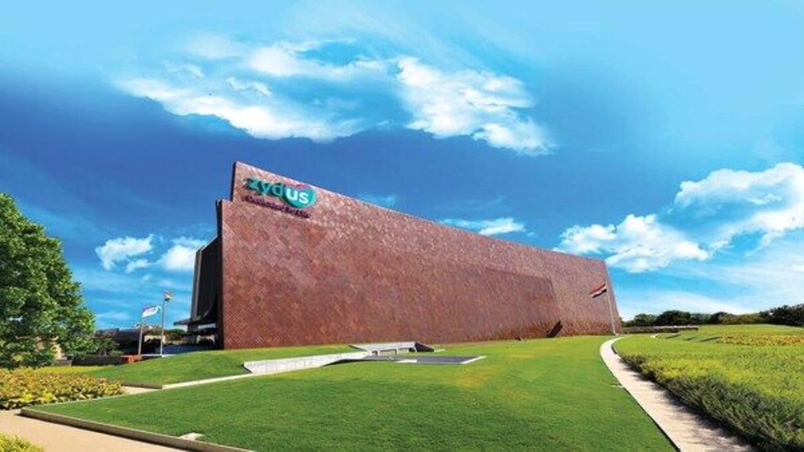 Zydus' Net Profit up by 23% in FY 25
