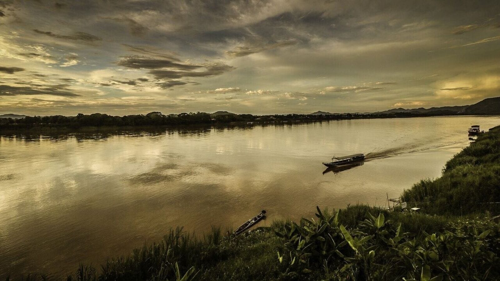 What a giant stingray says about the Mekong