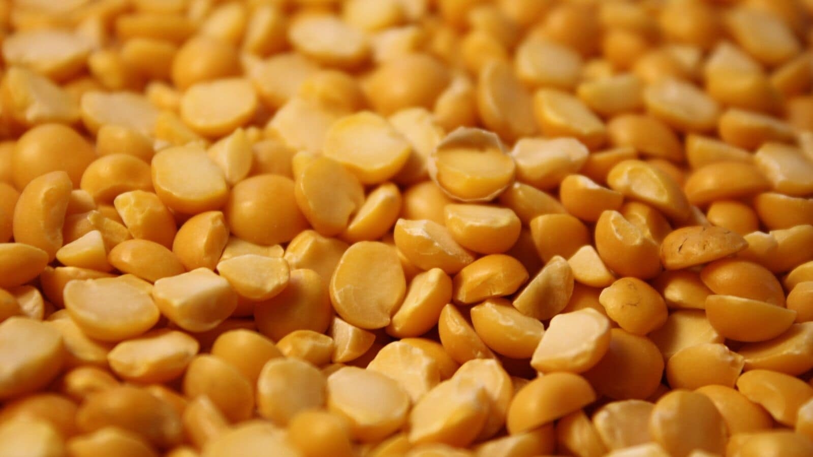 Govt extends duty-free import window for yellow peas till March 2026